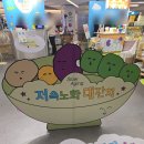 푸드라이프 | 코엑스 저속노화 대잔치 강남 팝업 후기 슬로우라이프 비건푸드