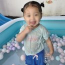 꼬마숲둥지어린이집 이미지