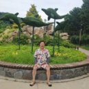 바다향기수목원(도서식물원) 이미지