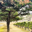 갈월공원 이미지