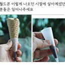 드림광고월드