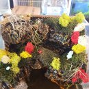 베스트피쉬 수족관 이미지