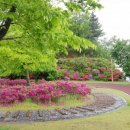 쌍용청솔약국 이미지