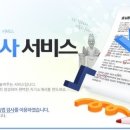 안나인터네셔날인터크루
