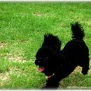 배다리박물관 이미지