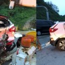 동아카시트 이미지