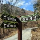 원일초교 | 잘 늙은 절 화암사