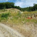 탄벌동-4 이미지