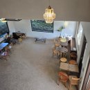 다오자 성인게임장 | 제주 동백포레스트 솔직 후기｜12월 개화는 아쉬웠지만 사진은 인생샷