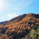 치악산둘레길 4코스 노구소길 이미지