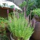 아름다운유치원 이미지