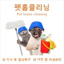 ㈜더클리닝 | 클라헬스케어 펫홈클리닝 반려동물가정 홈클리닝 전문 업체