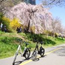 양재천 수변무대5 이미지