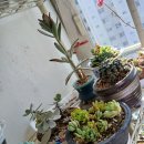 우리봄이네 이미지