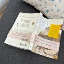 사이서가 | [제주/서귀포숙소] '사이서가' 이중섭거리 책방느낌 3인실 숙소