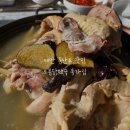 GS25태안몽산포점 | 태안 몽산포 맛집 부모님 식당추천 토종닭백숙 종가집