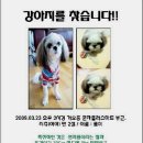 도일초등학교 이미지