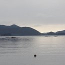 아침이슬팬션 이미지