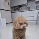 보람의 집 이미지