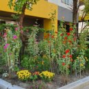 녹양휴먼시아 1단지경로당 이미지