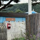 스테이노은 이미지