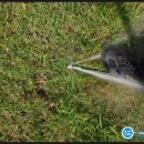 세정초등학교 이미지