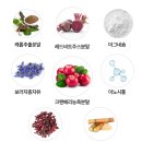 질유산균 추천 내돈내산 후기