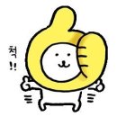 (주)지핌 | 25년 11월 일상 _ 가을나들이