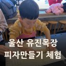유진목장 | 유진목장 팜클래스 피자 체험 | 부산 근교 울산