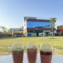 댕스파크 이미지