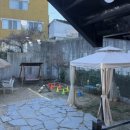 도그하우스 애견미용실 이미지