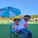 새싹유치원 이미지