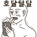대웅사 이미지