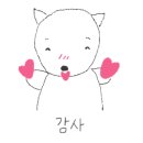 꽃다비펫 이미지