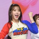미소조아