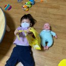 코~오 자자 이미지