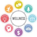 웰니스메디칼 이미지