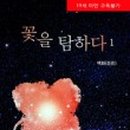 꽃을탐하다