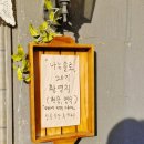 구미 애견 동반 맛집 샹송 식당 카페 방문 후기
