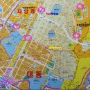 우송대학교 남문 사거리 이미지