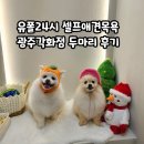 파워셀프24시 이미지