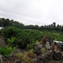 지영이네농장 이미지