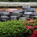 용아생가 이미지