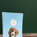 하이레벨학원 네이버블로그