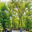 슬기i어린이집 이미지