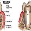 마실치과의원 이미지