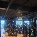 로얄 휘트니스 이미지