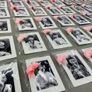 엘리트 태권도 점프 윙스 줄넘기 클럽 이미지