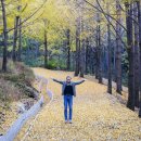 나무랑숲 이미지