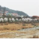 수동그린낚시터 이미지